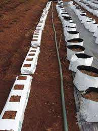 Copeat-proveedor de copocomer de ietnaman, copocomer de primer grado para planta - Product Image 5