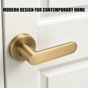 Poignée de porte de sécurité Tianyi en métal massif avec rosette fendue et serrure à clé – Idéale pour la rénovation de maisons et appartements – Pièce durable - Product Image 4