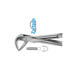 Fórceps de extracción de acero inoxidable de alta calidad raíces superiores Fig 114 exportadores y fabricante - Product Image 5