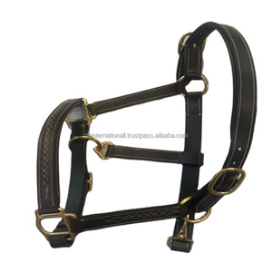 Équitation licou de cheval en cuir souple rembourré sans Stress avec coutures contrastantes fantaisie licou en cuir cousu fantaisie - Product Image 1