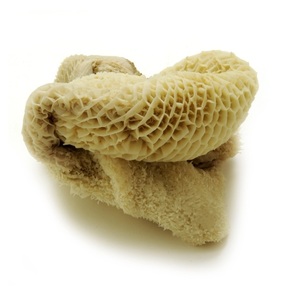 Omasum de bœuf congelé salé séché/ Estomac de vache/ Qualité supérieure Halal - Product Image 1