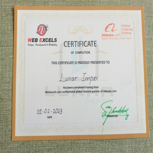 Alicates multifunción de acero inoxidable para el cabello de alta calidad, juego de cajas de herramientas para extensiones de cabello en Plasma, Color oro rosa - Product Image 6