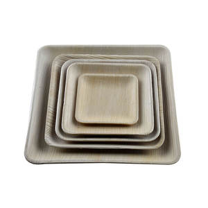 Vajilla desechable de hoja de palma natural de alto grado, platos cuadrados de hoja de palma biodegradables disponibles en diferentes tamaños y formas - Product Image 4