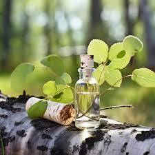 Fabricants en gros d'huile essentielle de myrte pure et naturelle, best-seller, à prix de gros d'usine, en provenance d'Inde - Product Image 5