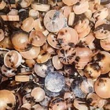 ตามที่แสดง