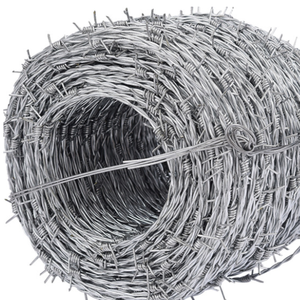 Clôture en fil barbelé de haute qualité, directement de l'usine, fil de fer galvanisé, traitement de surface, utilisation à l'aéroport, anti-escalade - Product Image 1