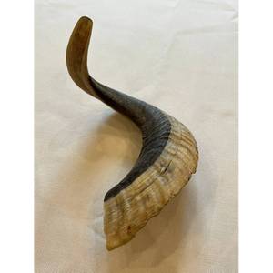 Cuerno de búfalo Cuernos para beber Cuerno para beber vikingo natural con soporte de Cuero al costo más bajo - Product Image 6