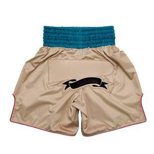 Shorts de boxe 2026 personnalisés avec logo de haute qualité, grandes tailles, shorts de sport pour hommes, shorts streetwear pour hommes, logo personnalisé - Product Image 1