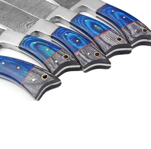 Ensemble de couteaux de cuisine professionnels personnalisés de 1 à 6 pièces, en acier inoxydable, couteaux de chef, à pain, utilitaires, à éplucher, outils de cuisine - Product Image 4