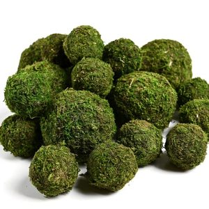 Boules <span class=keywords><strong>de</strong></span> mousse verte naturelle préservée, sphères <span class=keywords><strong>de</strong></span> mousse séchée pour la décoration <span class=keywords><strong>de</strong></span> la maison, des tables, des vases et des bols, décoration rustique, vente en gros - Product Image 1