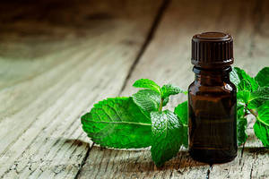 Premium Natural Mentha Oil <b>Bulk</b> Supply High Purity Mint Essential Oil for Aromatherapy Food Flavoring Cosmetic Herbal Ingredient - Product Image 3