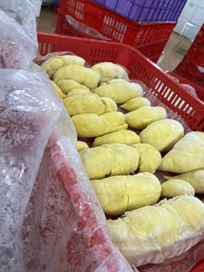Fruta Congelada de Durian de Alta Calidad, Orgánica, Monthong Ri6 Musang King, Envasada al Vacío, de Granja Vietnamita 99 Gold Data, 15 kg - Product Image 2