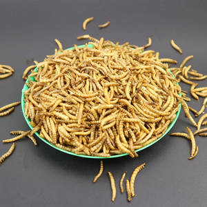 תולעים יבשים 600 גרם פינוק מזין לכלבים ערבה - Product Image 1