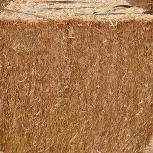 Good Quality Wheat Straw Hay Bales for Animal Feeding Very Reasonable Low Price Best Sale - Product Image 6