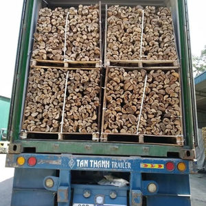 BOIS DE CHAUFFAGE PAR LE BOIS NATUREL FABRIQUÉ AU VIETNAM PAR BIWOOD COMPANY HAUTE QUALITÉ UTILISÉE POUR LE BARBECUE GRILLANT, CAMPING ET RESTAURANT - Product Image 1