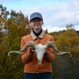 Cráneo de búfalo y carnero tallado a mano con cuernos majestuosos, decoración de pared y soporte artesanal contemporánea con estilo cultural - Product Image 4