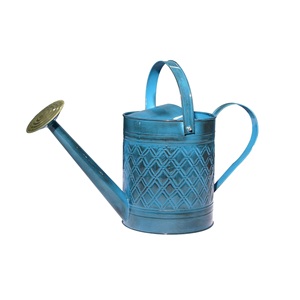 Arrosoir en métal coloré pour plantes d'intérieur et d'extérieur, pot d'arrosage décoratif de jardin avec bec long - Product Image 1