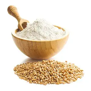 Farine de blé de haute qualité en vrac/farine de semoule de blé dur jaune 100%/farine de blé biologique sans OGM vente en gros