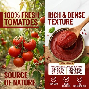 Vente en gros usine : Purée de <span class=keywords><strong>tomate</strong></span> en conserve 28-30 Brix, 70g, 2,2kg, Halal, <span class=keywords><strong>Double</strong></span> Concentré de <span class=keywords><strong>Tomate</strong></span> - Product Image 2