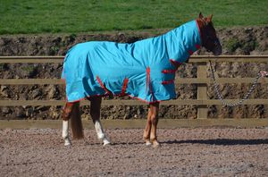 600D RIP STOP & 350g Combo Heavyweight Horse Turnout Rug Toutes les tailles 5'3 "-7'0" - Product Image 5