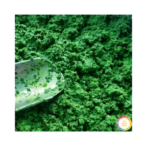 Feuille de manioc congelée de haute qualité 2025 produit naturel du Vietnam certifié IQF traitement séché prix d'exportation compétitif - Product Image 5