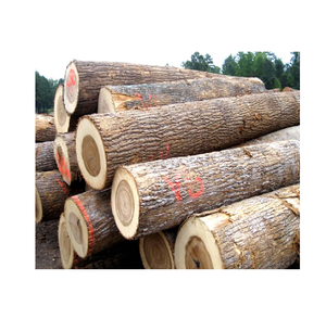 Bûches de bois de peuplier naturel à vendre à bas prix, parfaites pour les scieries et la fabrication du bois - Product Image 2