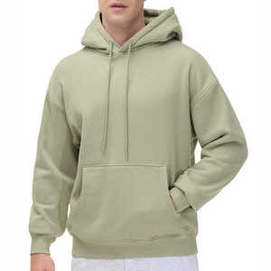 Meilleur Prix Sweats À Capuche Street Wear Léger 100% Coton Hommes Hoodies Nouveau Style Pull À Capuche pour Hommes - Product Image 1