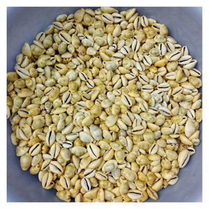 Seashell cowry coastal CRAFT, ช่างฝีมือเปลือกหอยเพื่อการตกแต่งที่ได้แรงบันดาลใจจากมหาสมุทรของขวัญแฮนด์เมดแบบยั่งยืนสำหรับบ้านที่เป็นมิตรต่อสิ่งแวดล้อม - Product Image 2