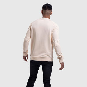 Vente chaude Sweatshirts Hiver Automne Haute Qualité Col Rond Sweat Shirts Doux Coton Matériel Hommes Sweat - Product Image 5