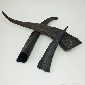 Hot bán noshahi sừng dê tự nhiên sừng con chó nhai lâu dài Pet điều trị được thực hiện tại Ấn Độ bởi Enliven ở nước ngoài - Product Image 6