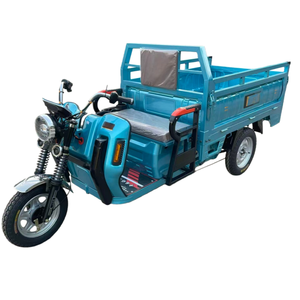 Tricycle électrique à trois roues de petite taille 800W, en acier, 60V, tricycle à pneus larges, pas cher, pour le transport de marchandises et de passagers - Product Image 1