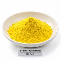 Approvisionnement d'usine : Chlorhydrate de berbérine 97% - Extrait de Coptis Chinensis de qualité alimentaire en poudre jaune