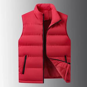 เสื้อกั๊กมีฮู้ดมันวาวสำหรับผู้ชาย2024ใหม่เสื้อกั๊กลำลองผ้าหนากันลมให้ความอบอุ่นเสื้อกั๊กผ้าฝ้ายแบบหล่อสำหรับฤดูใบไม้ร่วงและฤดูหนาว - Product Image 1