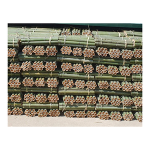 เสาไม้ไผ่ธรรมชาติสำหรับสวนไม้ไผ่ - Product Image 5