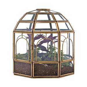 Metal And <b>Glass</b> Tabletop <b>Glass</b> <b>Terrarium</b> Custom Shape Vase Container Decorative <b>Glass</b> <b>Terrarium</b> - Product Image 6