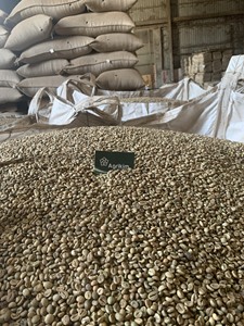 [Premier exportateur vietnamien] Robusta Green Coffee Beans Premium Grade ISO Certified New Crop 2025 - Product Image 5