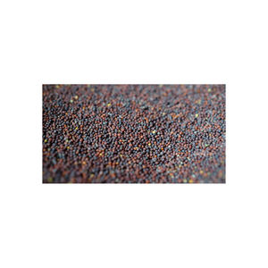 Semillas de canola de alta calidad ofrecidas a precio mayorista para productores de aceite comestible - Product Image 6