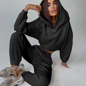 Conjunto de pantalones de chándal y sudaderas con capucha de 2 piezas para mujer a la moda con logotipo personalizado al por mayor - Product Image 4