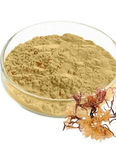 POLVO DE MUSGO MARINO DE VIETNAM, ORIGEN DIRECTO DE LA FERIA - Product Image 3