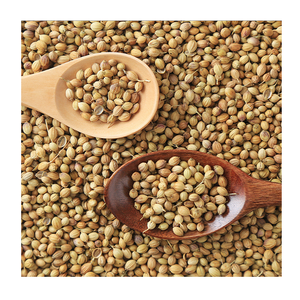 Suministro a granel de semillas de cilantro orgánicas Premium - Product Image 1