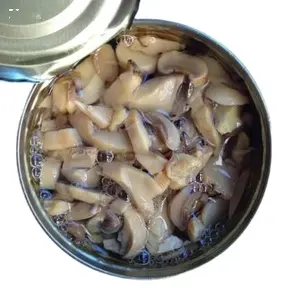 Factory Supply Best Seller Good Price For Sale Gourmet Canned Pleurote Oyster Mushroom In Bulk Quantity From Vietnamese