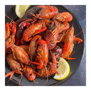 High grade crayfish supplied in bulk quantity with quick global shipment - Product Image 6