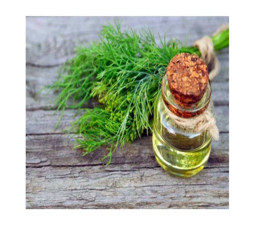 สีเหลืองอ่อน