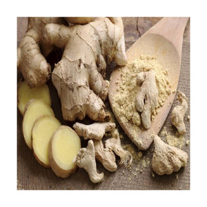 High grade <b>fresh</b> <b>ginger</b> available for sale ideal for culinary and health product use - Product Image 4