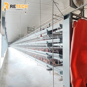 Équipement d'élevage de volailles Cages de batterie de pondeuse de poules pondeuses de type H - Product Image 1
