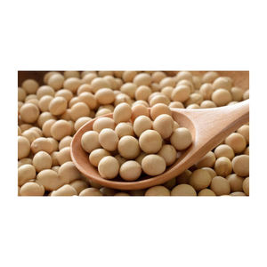 Vente en gros de qualité supérieure Biologique sans OGM Prix bon marché Soja jaune Soja délicieux à vendre - Product Image 3