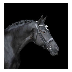 Lumiere Equestrian Alison แผ่นบังเหียนหนัง,Cavesson - Product Image 4