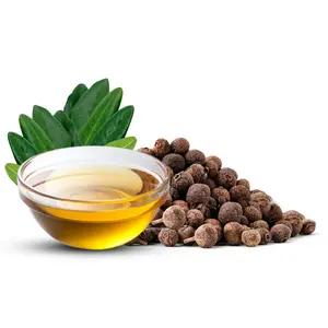 شركة مصنعة لزيت التوت والبهارات مورد سائب مع Allspice جودة عالية وطبيعي نقي بسعر الجملة بالجملة