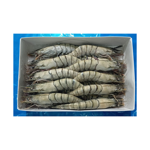 Camarones Tigre Negro Congelados a Bajo Precio, Calidad Premium PD, Empaque a Granel, Listos para Exportación - Product Image 6