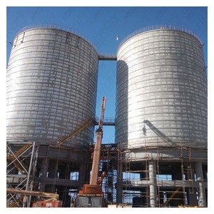 Silo in Acciaio Saldato per Carichi Pesanti SRON 1000-100.000T, Impianti Energetici Progettati su Misura, Terminali per Cemento, Stoccaggio Industriale di Massa, <span class=keywords><strong>1</strong></span> Anno - Product Image 3